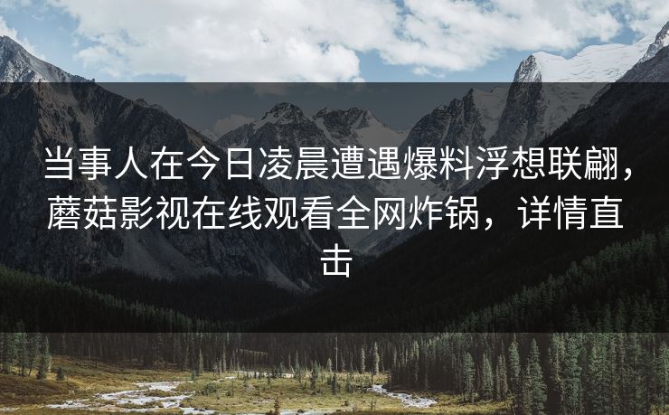 当事人在今日凌晨遭遇爆料浮想联翩，蘑菇影视在线观看全网炸锅，详情直击
